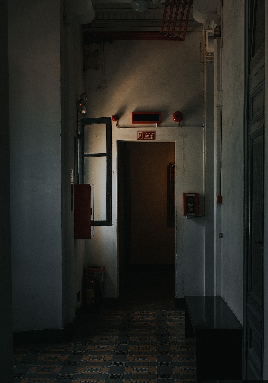 Evakuasi Ular di Pasar